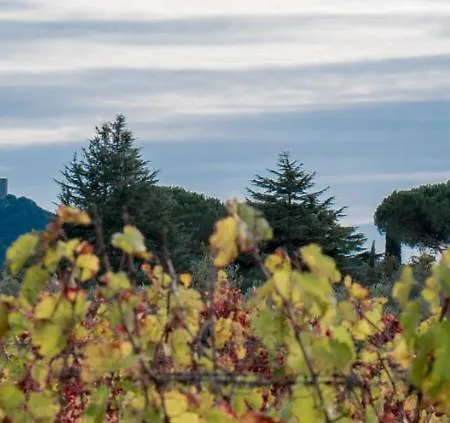 Moraiolo Podere Le Bozze Con Piscina Wi-fi * Castagneto Carducci