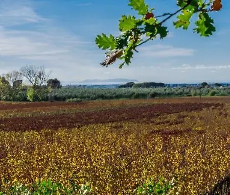 Moraiolo Podere Le Bozze Con Piscina Wi-fi