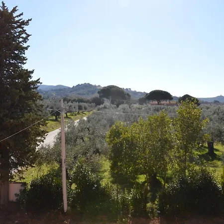 Appartamento Moraiolo Podere Le Bozze Con Piscina Wi-fi *